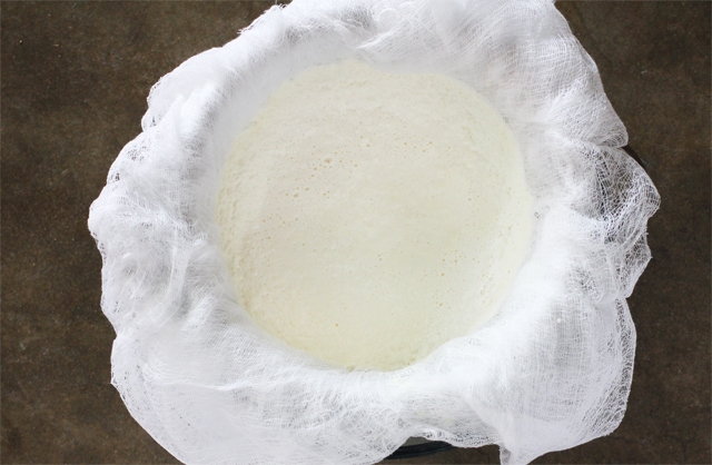 Draining Ricotta Cheese