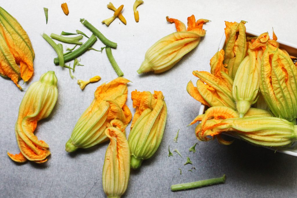 Preparing Squash Blossoms