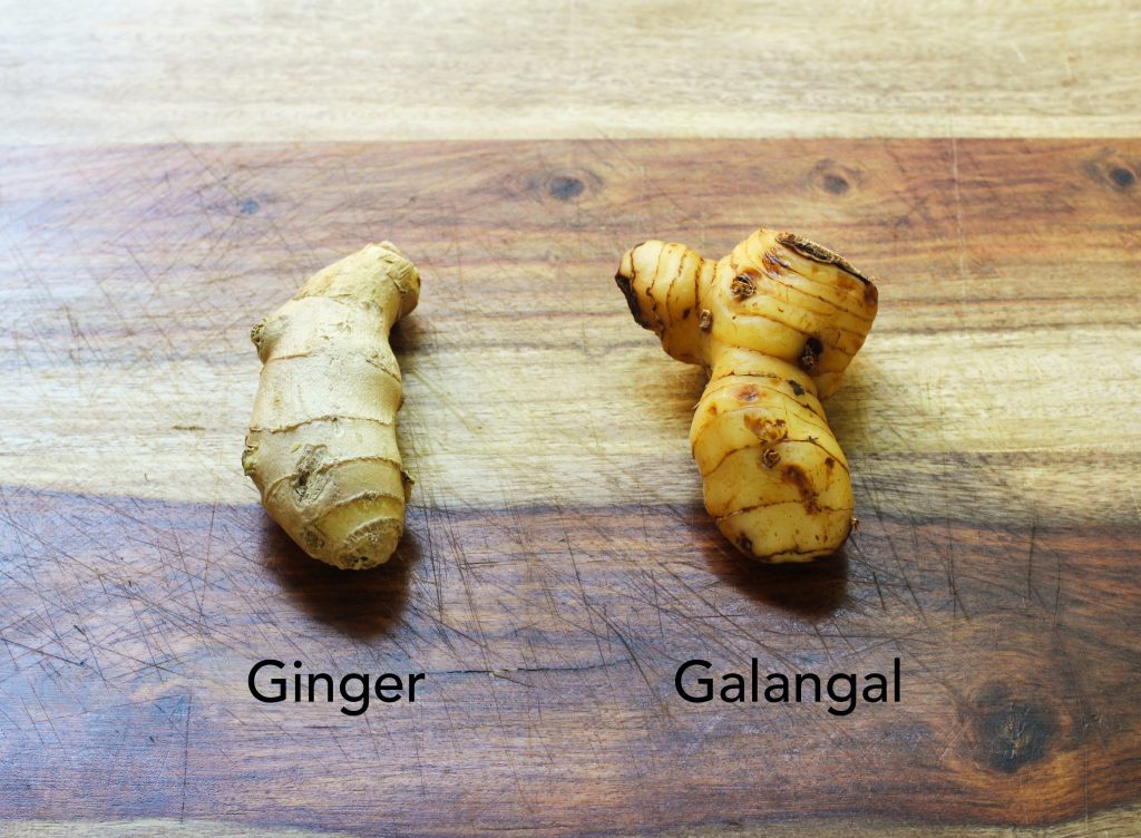 Ginger and Galangal