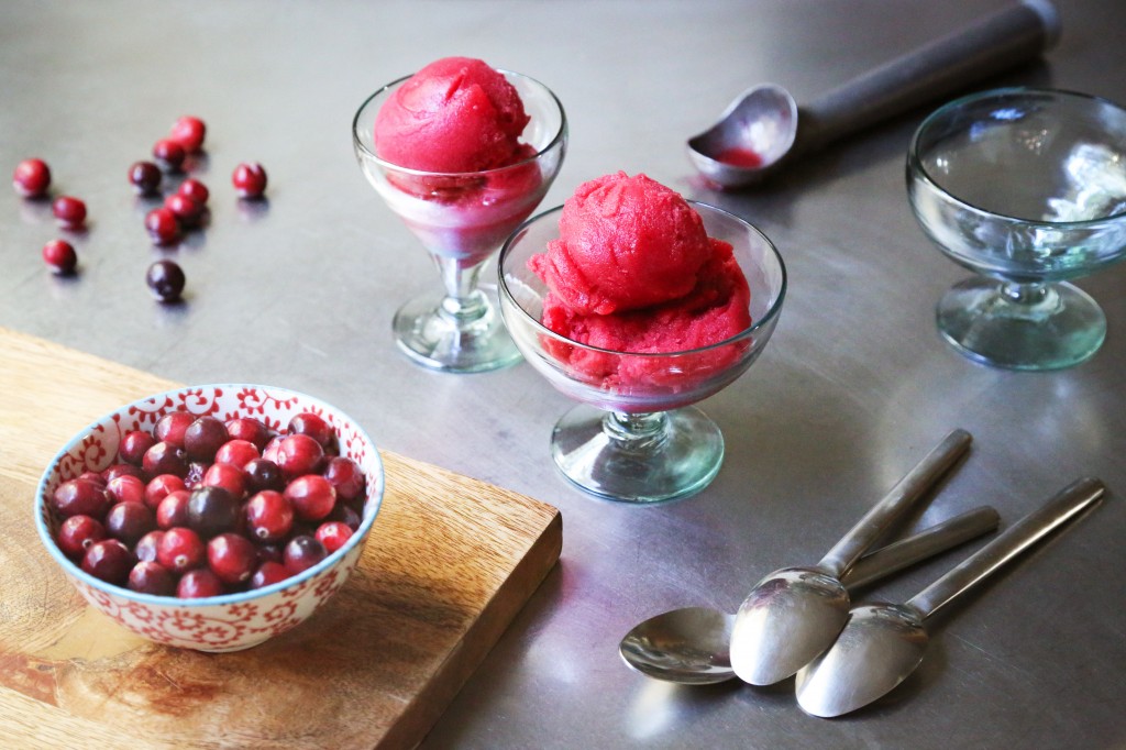 Cranberry Sorbet