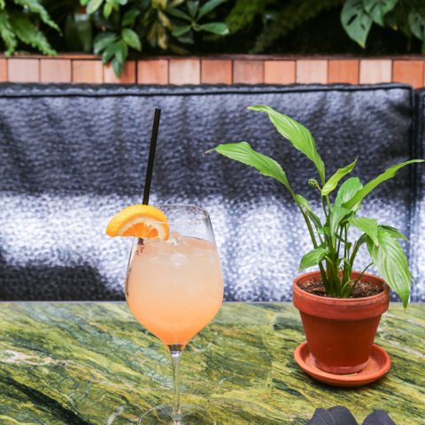 Plumosa Cocktail