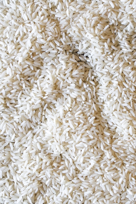 Rice