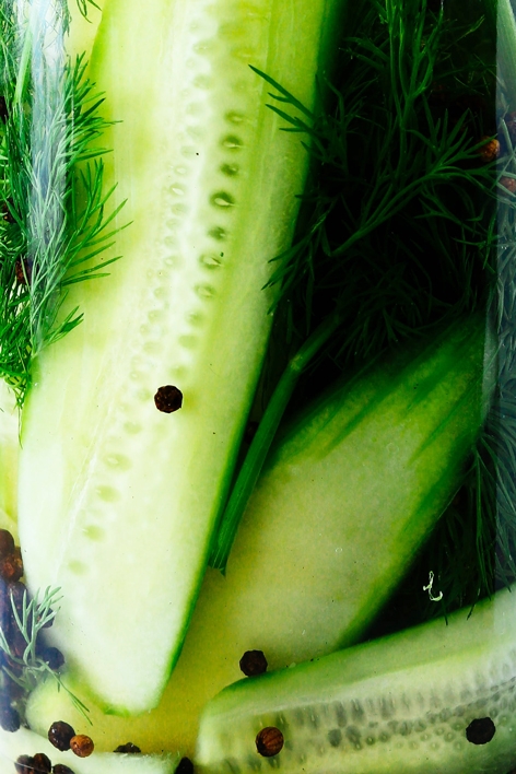 Cucumber, Dill and Black Pepper Vodka