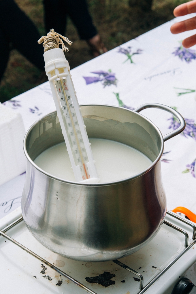 Cheesemaking