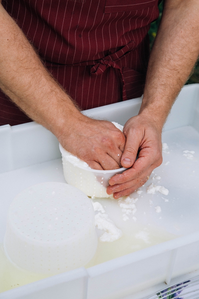 Cheesemaking