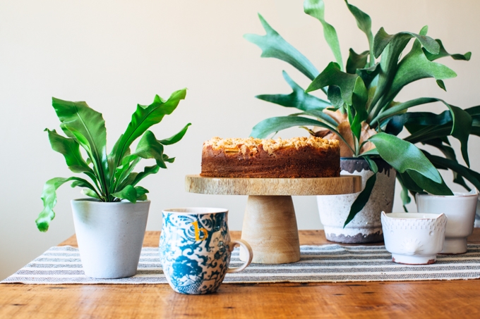 Nectarine Coffee Cake Recipe