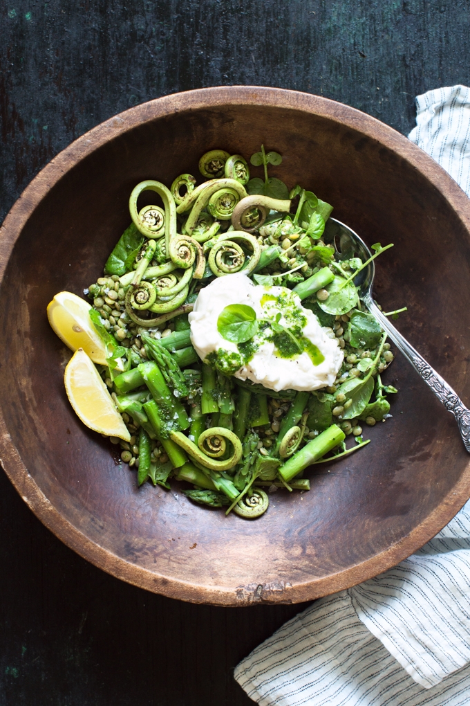 Spring Lentil Salad with Asparagus and Burrata