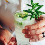 Lemon Verbena Gin and Tonic Recipe