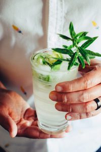 Lemon Verbena Gin and Tonic Recipe