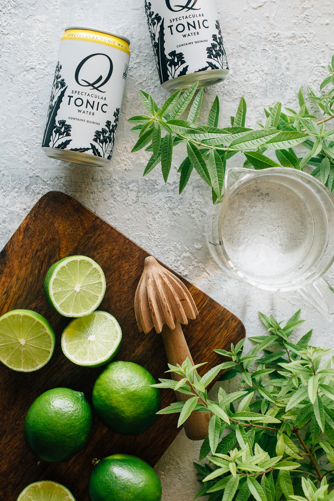 Gin and Tonic Ingredients