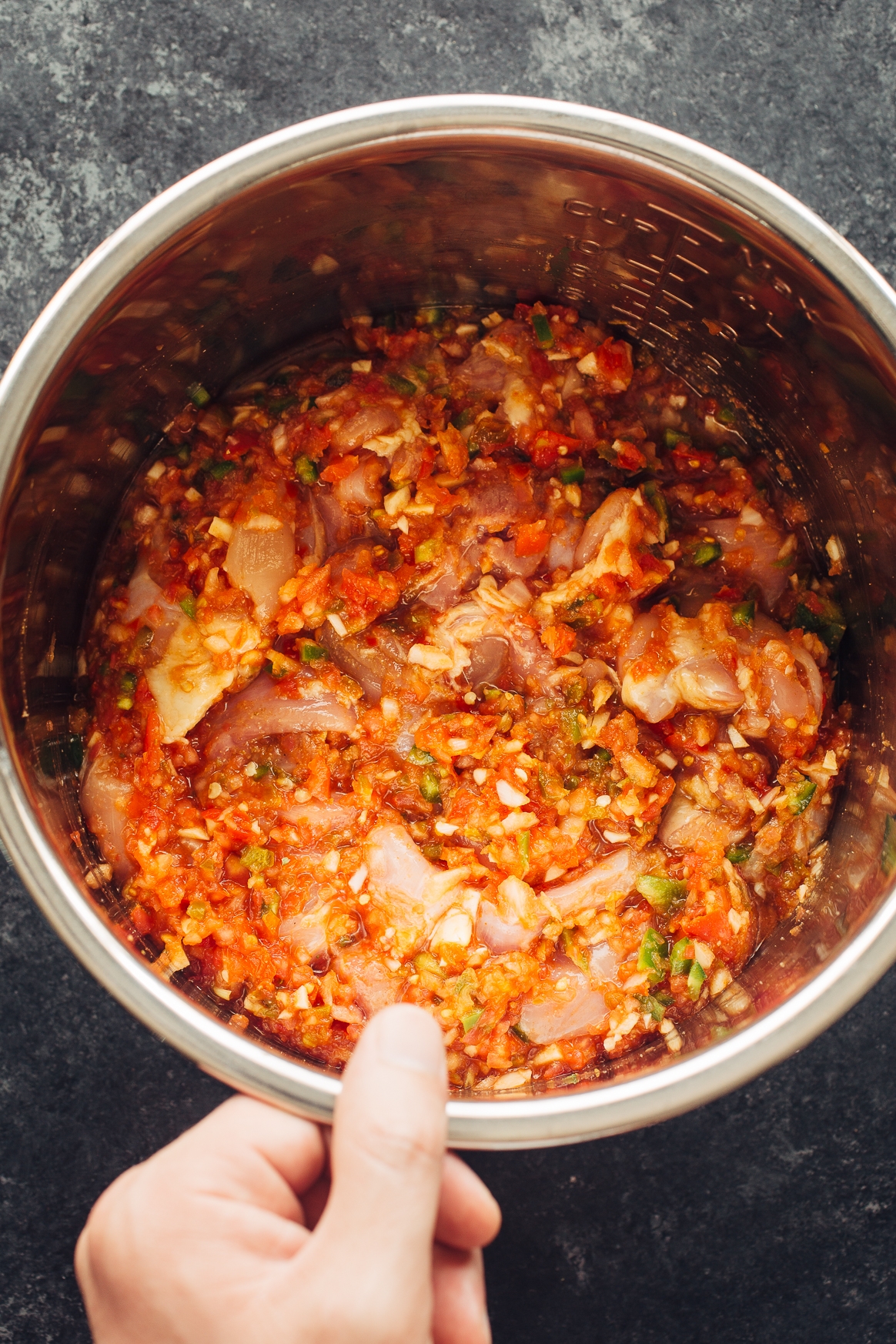 Making Salsa Chicken