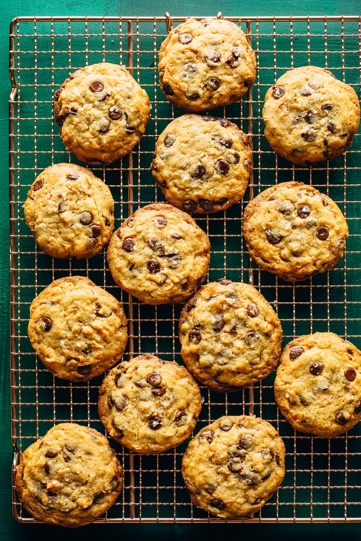 Coconut chocolate shop chip cookie
