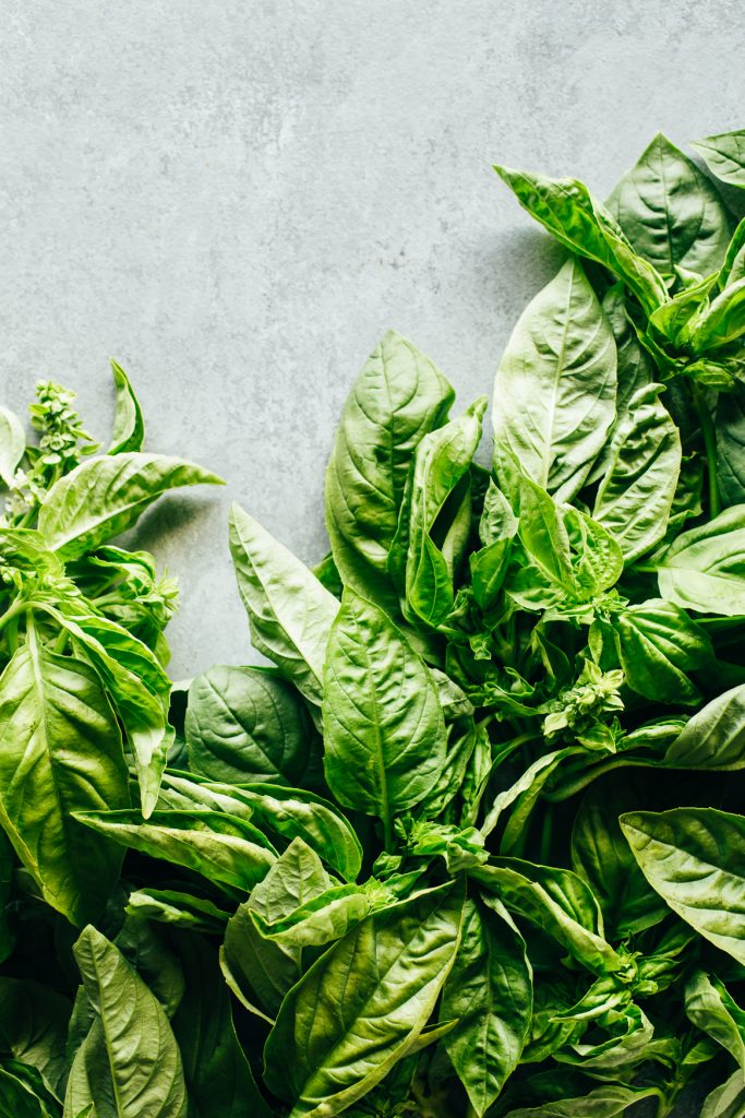 Basil Leaves