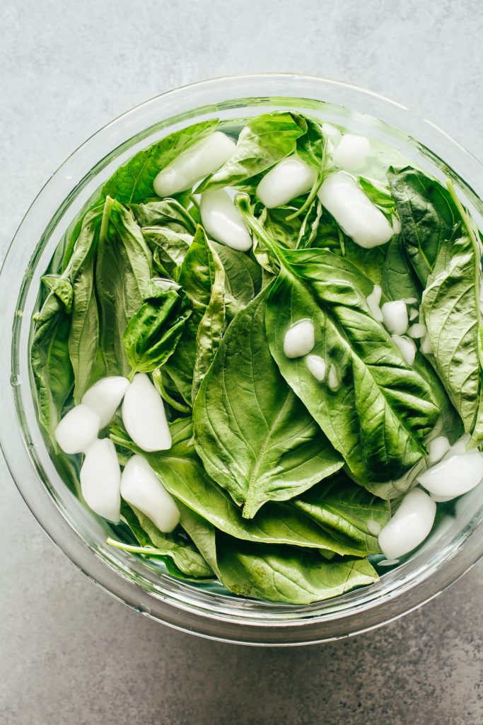 Basil Leaves in Cold Water