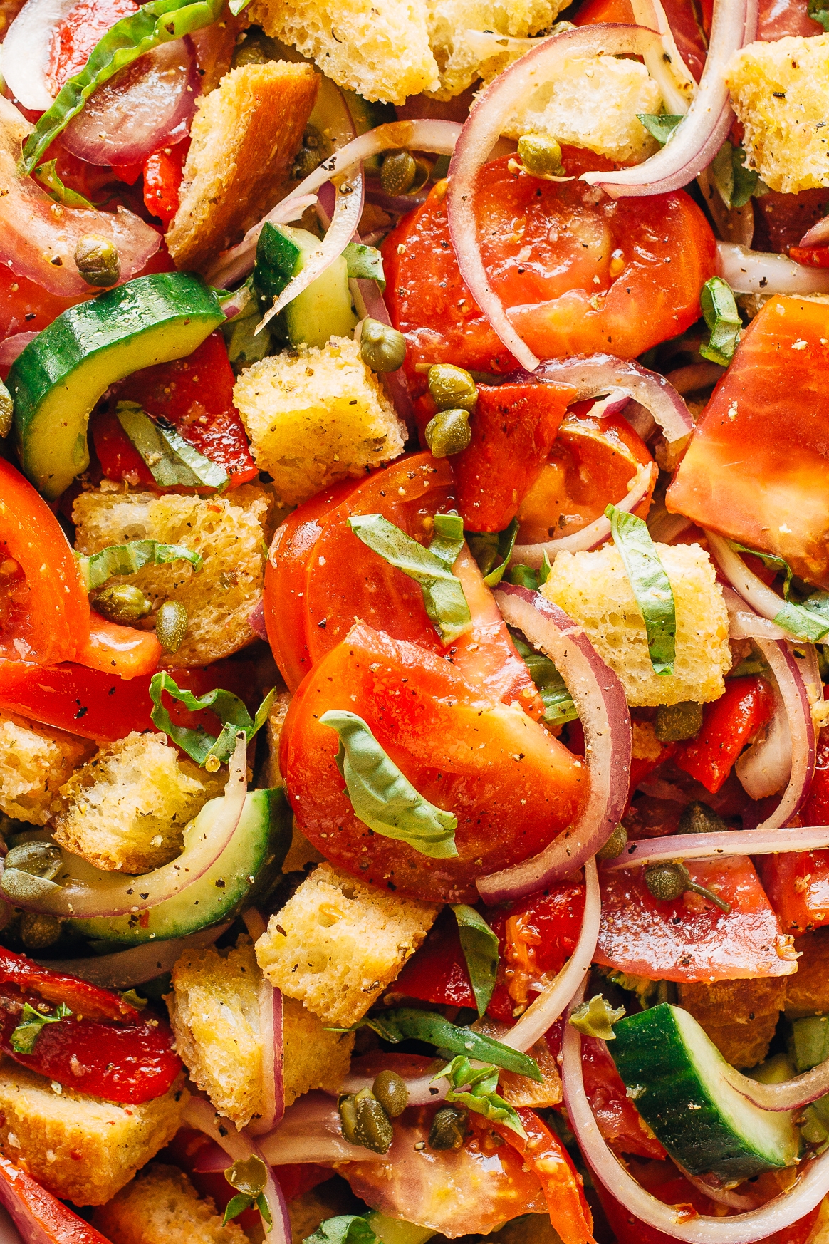 Panzanella Salad Zoomed In