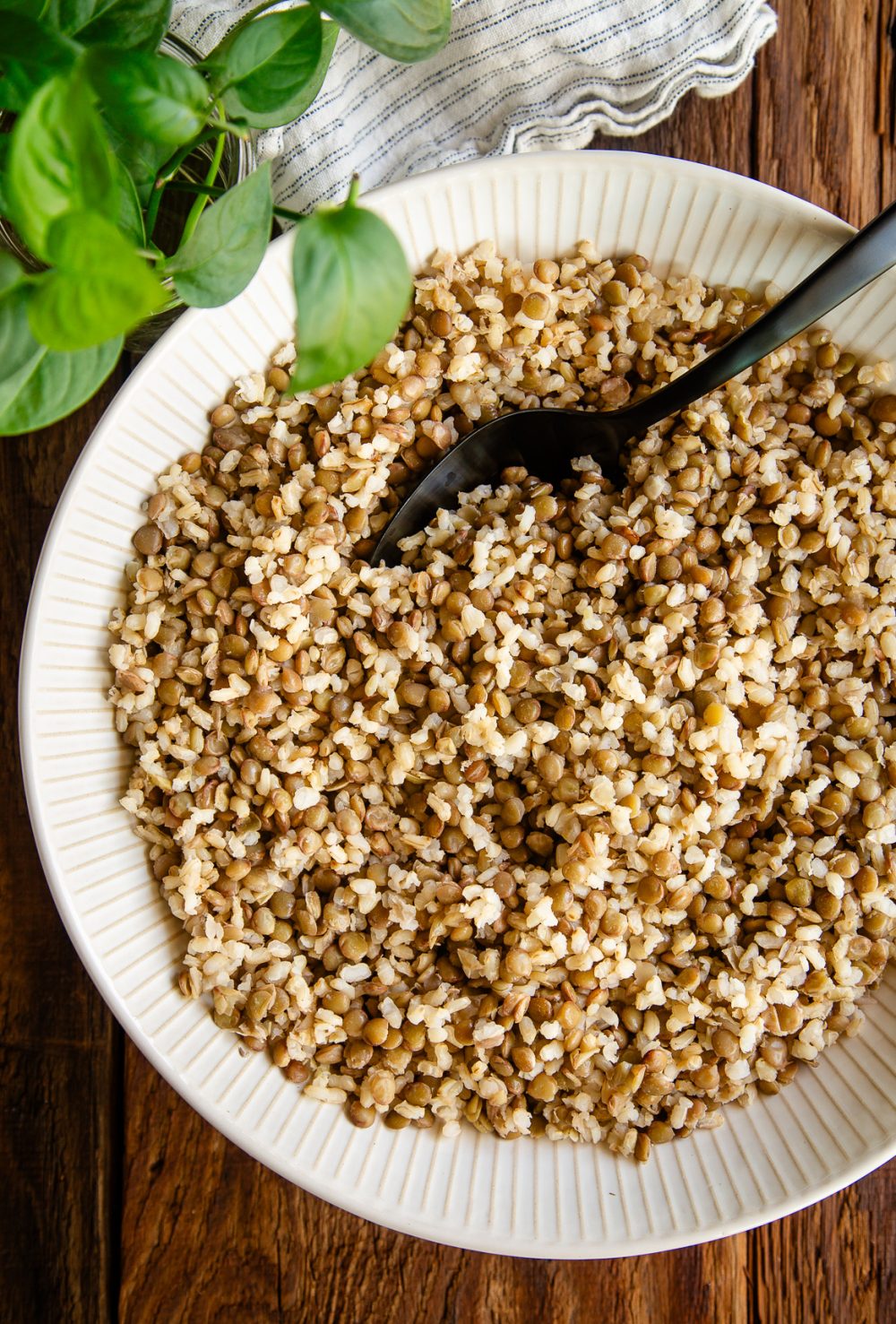 Brown Rice and Lentils